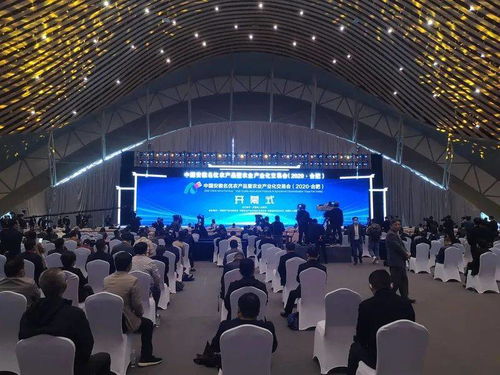 2020中国安徽名优农产品暨农业产业化交易会合肥开幕 孙正东巡视阜阳展厅颍上展台