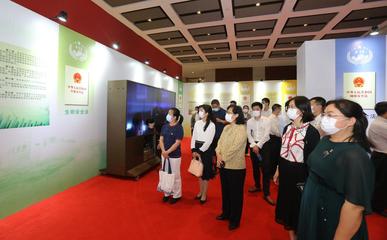 珠海举办为期一月的全民国家安全教育日主题展览，影视策划视角下的国家安全叙事