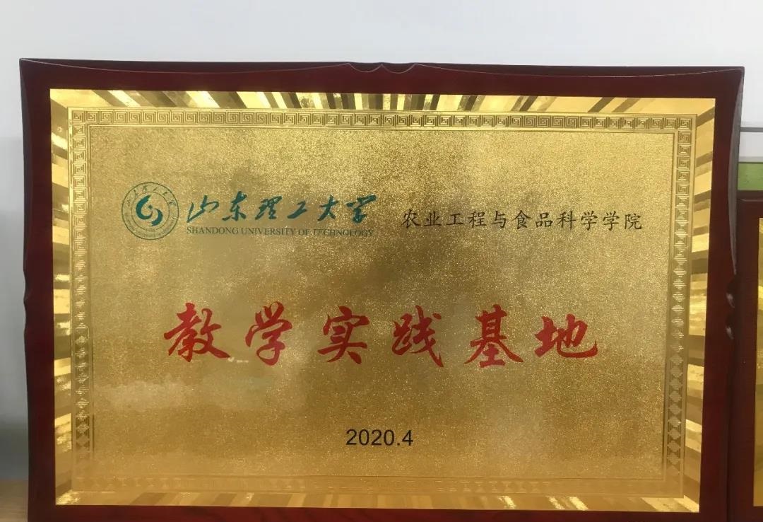 青岛高新区企业与山东理工大学携手共进，共绘影视策划新蓝图